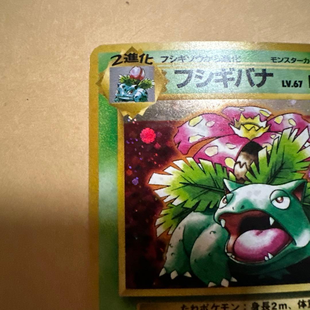 旧裏 フシギバナ カメックス イントロパック