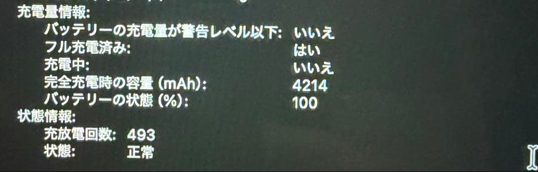 MacBook Pro 13インチ i7 32GB tomtocケース付き