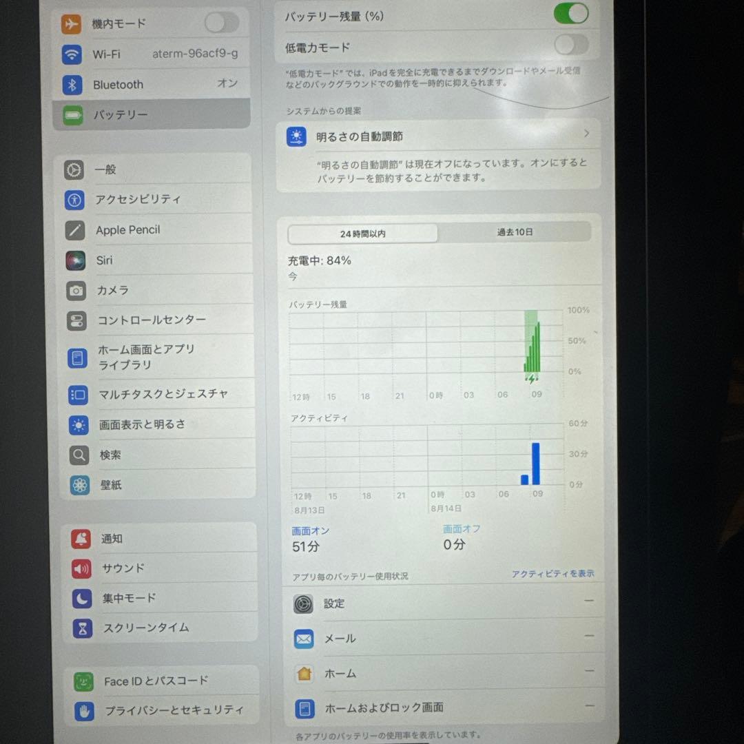 ブラック iPad pro本体