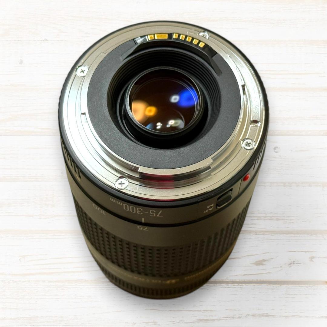 Canon ズームレンズ EF 75-300mm II USM