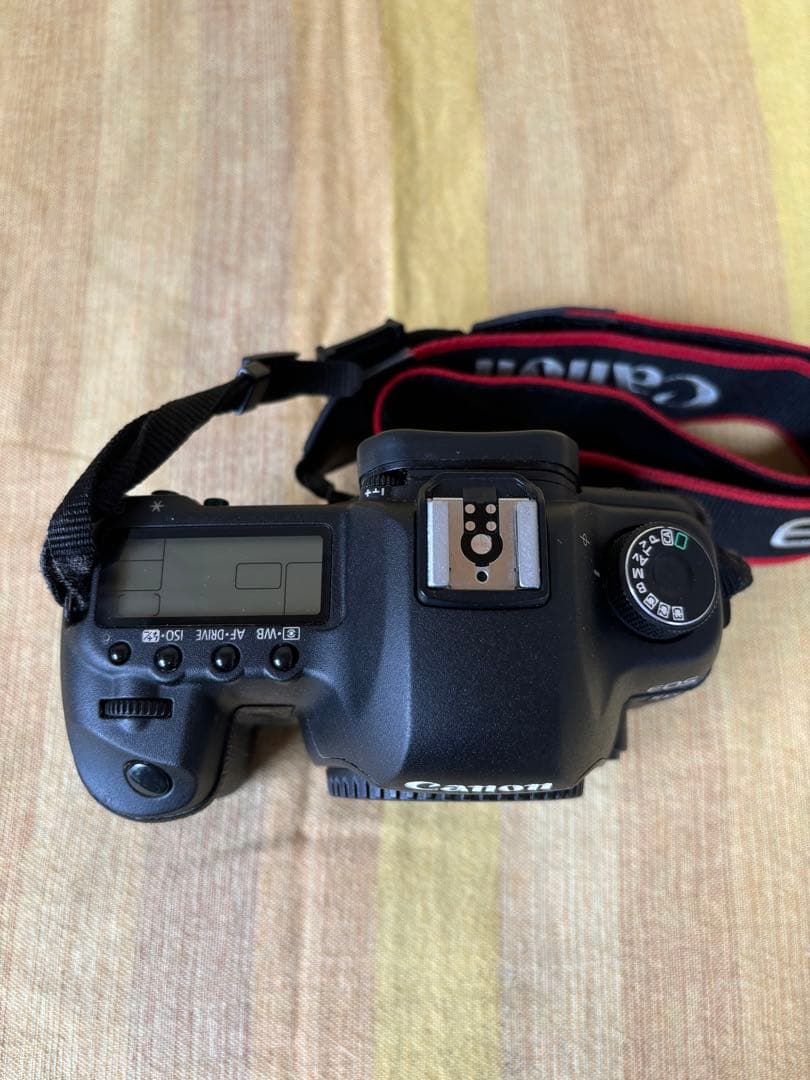 良品　Canon EOS5D MarkII