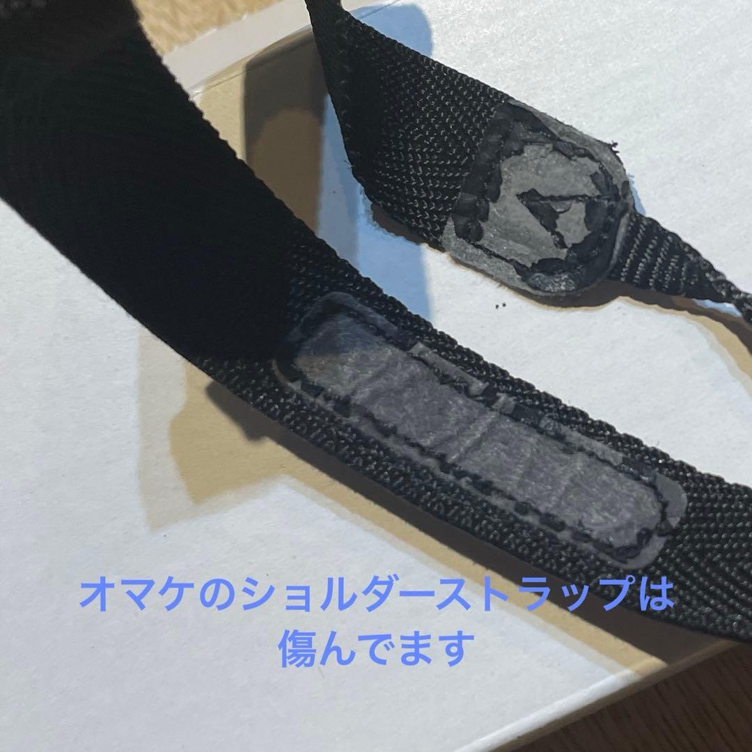 SIGMA DP2x シグマ Foveon センサー搭載デジタルカメラ