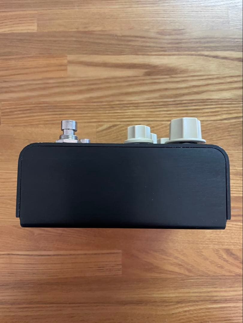 Strymon FLINT トレモロ & リバーブ