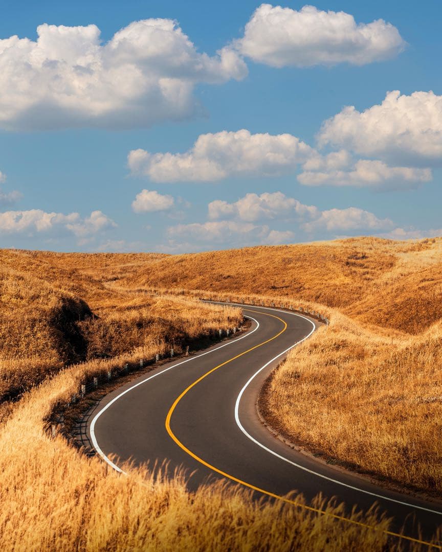 レンズ(ズーム) SONY FE 85mm F1.8