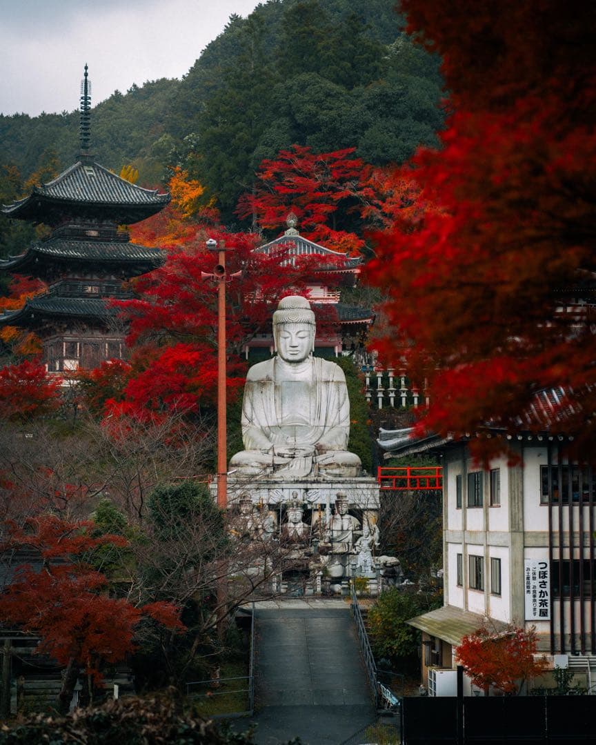 レンズ(ズーム) SONY FE 85mm F1.8