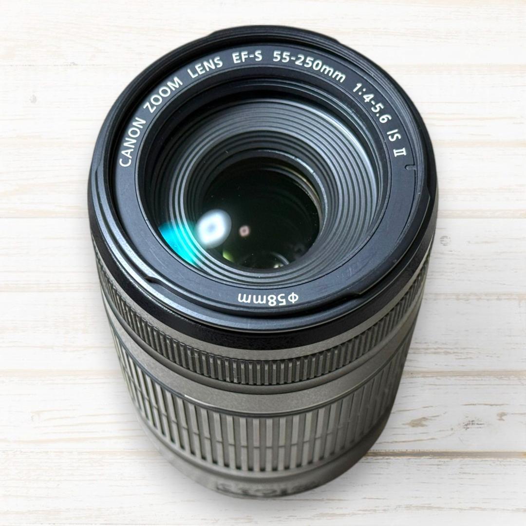 Canon ズームレンズ EF-S 55-250mm IS Ⅱ #50
