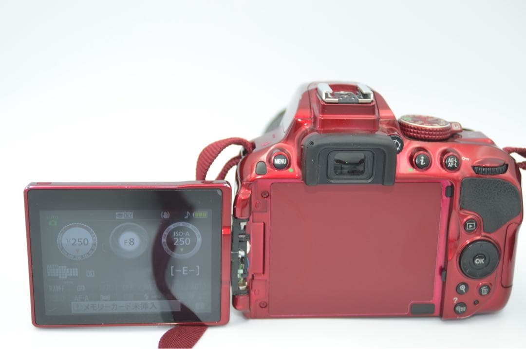 Nikon D5300 レッド ストロボ付き