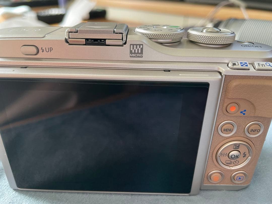 ほぼ未使用　Olympus PEN E-PL10 ブラウン　※ケース付き