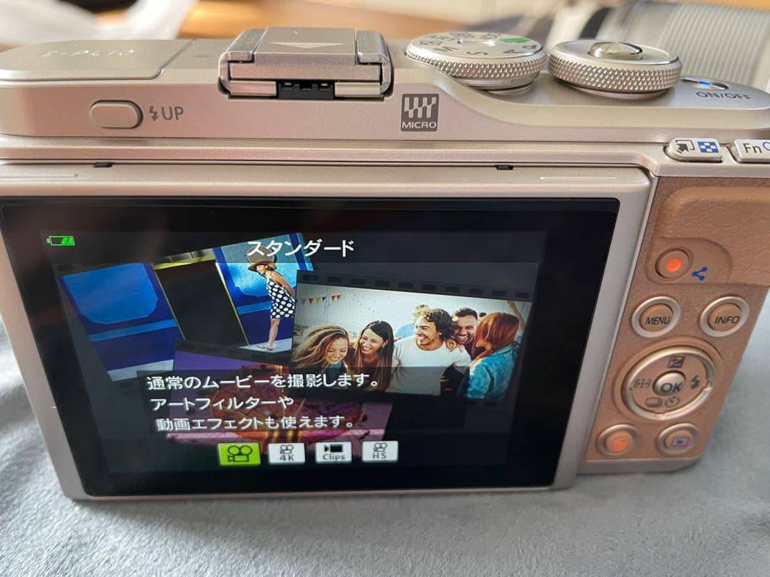 ほぼ未使用　Olympus PEN E-PL10 ブラウン　※ケース付き