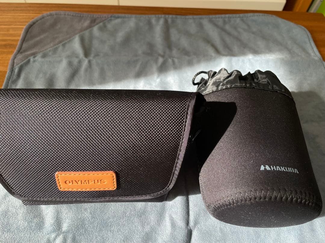 ほぼ未使用　Olympus PEN E-PL10 ブラウン　※ケース付き