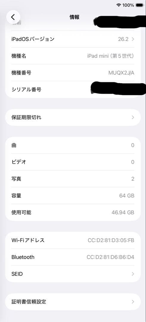【美品】iPad mini（第5世代） 64GB Wi-Fiモデル