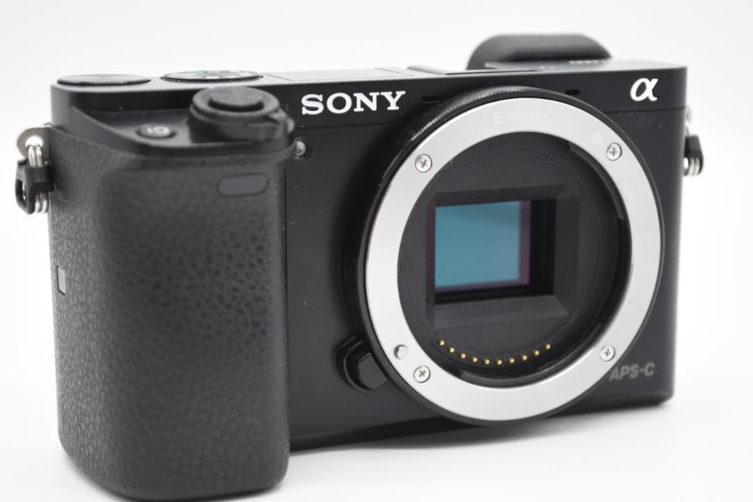 ★美品★ SONY ソニー α6000 ILCE-6000 ボディ ブラック