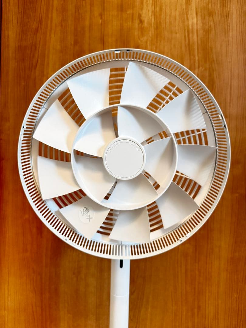 【極美品】BALMUDA バルミューダ The Green Fan 扇風機