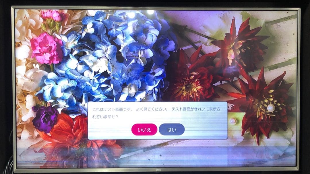 テレビ　49インチ　LG エルジー