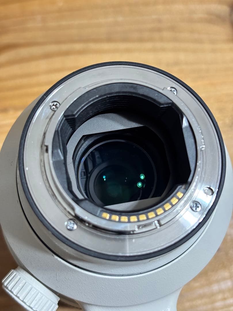 SONY FE 100-400mm F4.5-5.6 GM OSS ズームレンズ