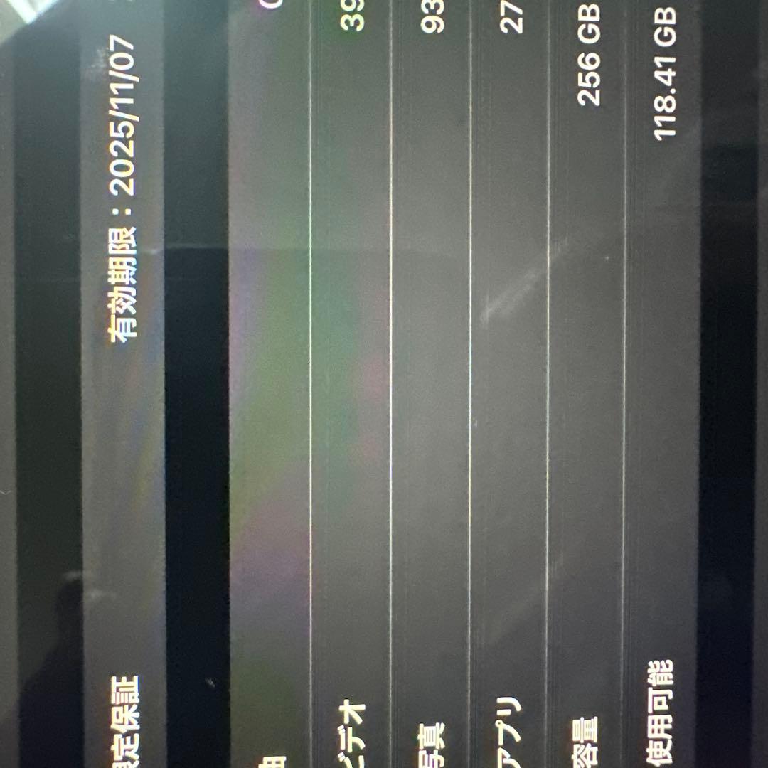 ヤンくん iPad Pro 第4世代11インチ256GB Wi-Fiモデル