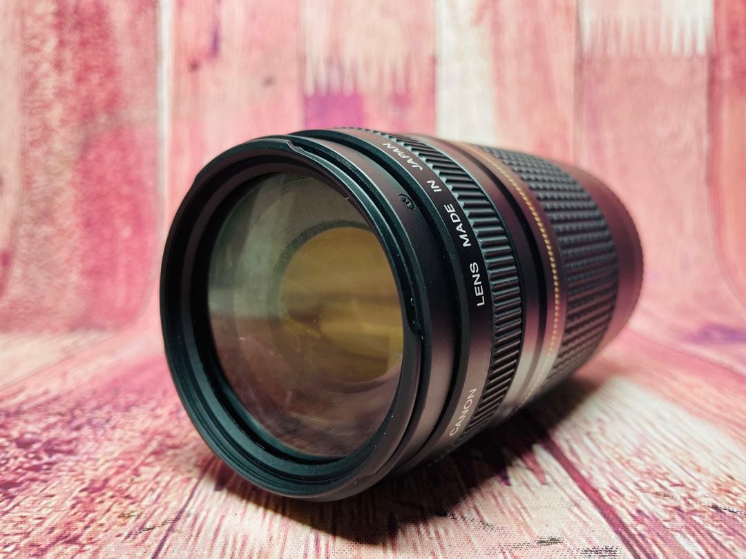 Canon キャノン EF 75-300mm 1:4-5.6 Ⅱ