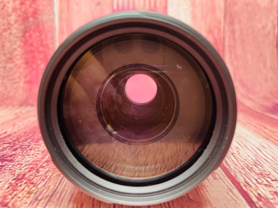 Canon キャノン EF 75-300mm 1:4-5.6 Ⅱ