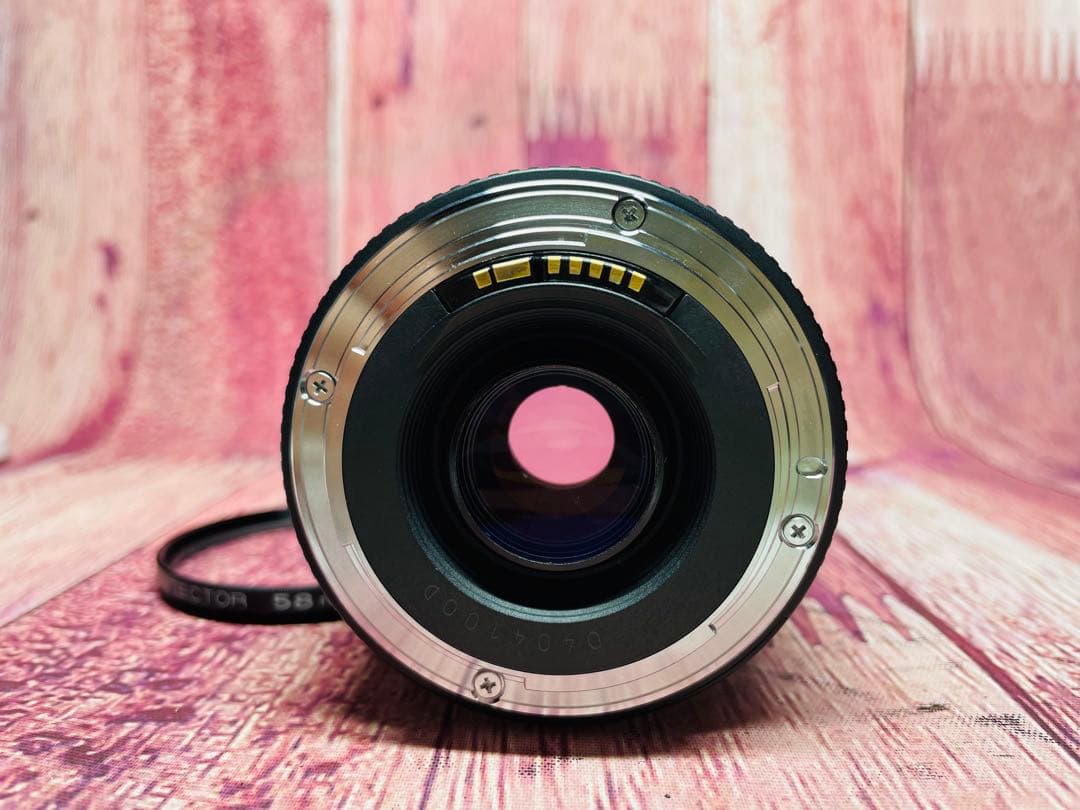 Canon キャノン EF 75-300mm 1:4-5.6 Ⅱ