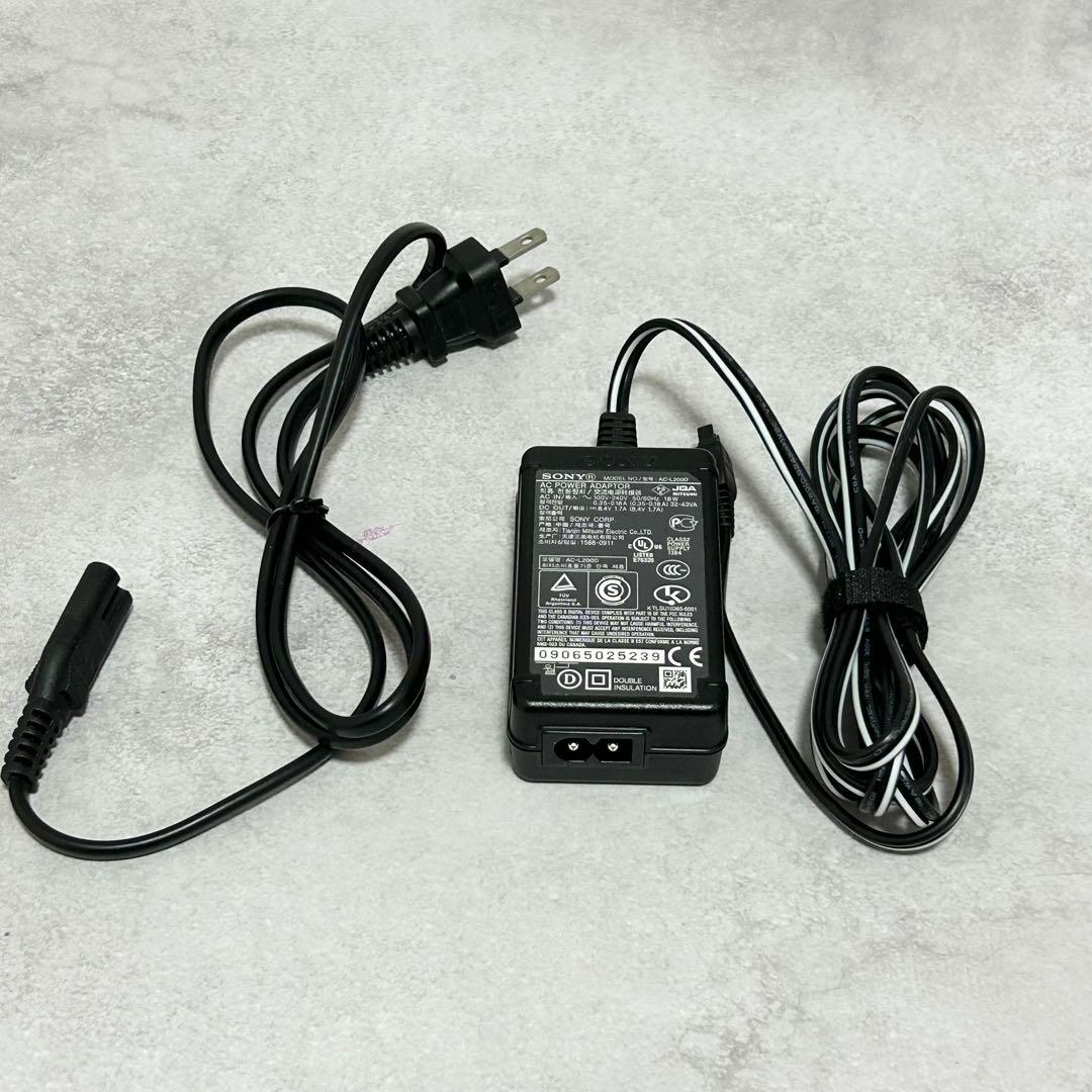 【美品】ソニー HDR-CX520V ビデオカメラ　ハンディカム