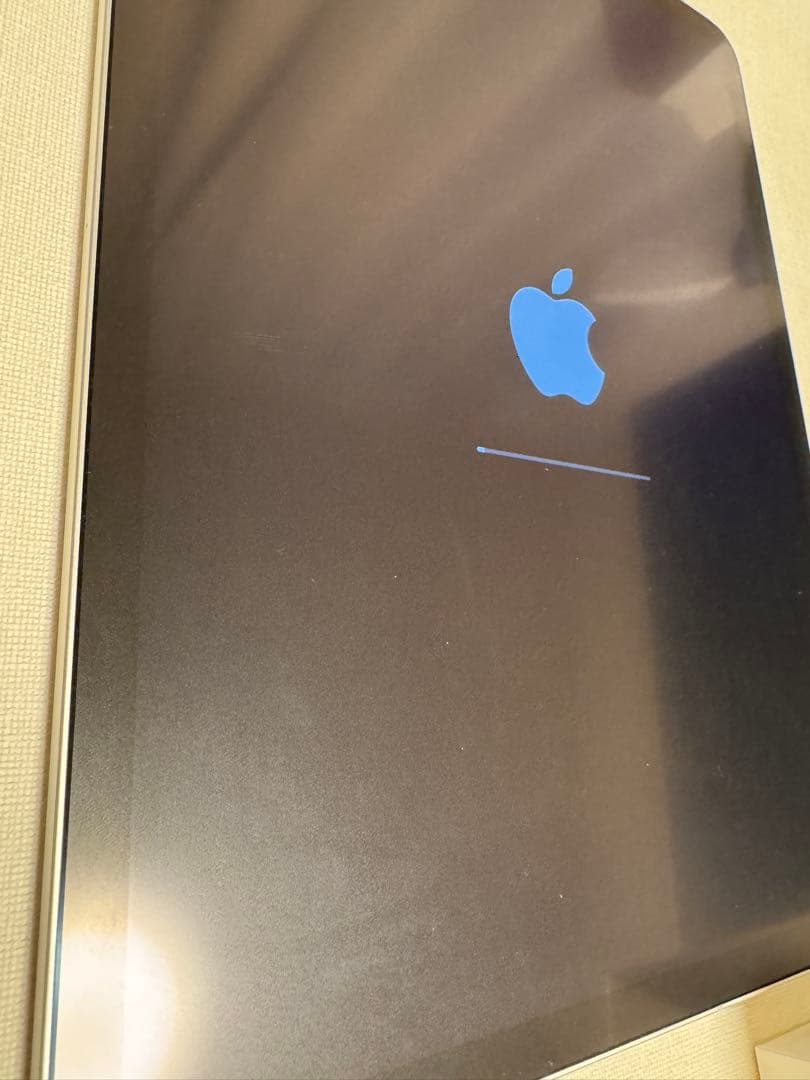 【美品】iPadPro11インチ第2世代Wi-Fi+Cellular 1TB