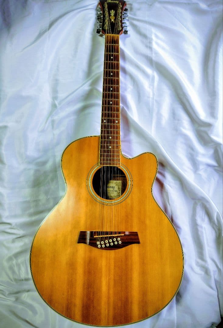 【12弦エレアコ】Ibanez ／弦高低め弾きやすい・ソフトケース付・値段応相談