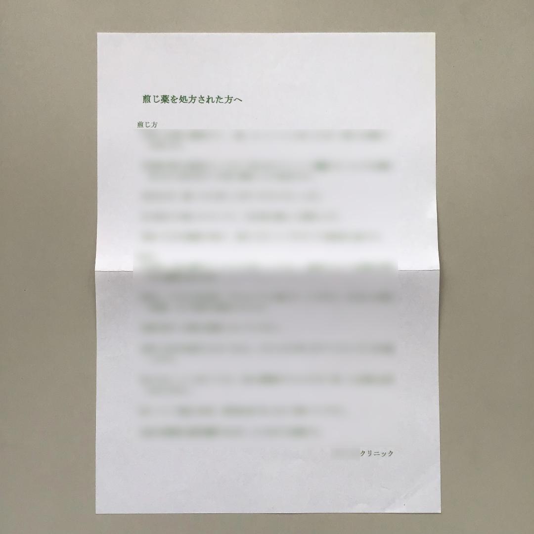 漢方煎じ器 文火楽々 EK-SA10