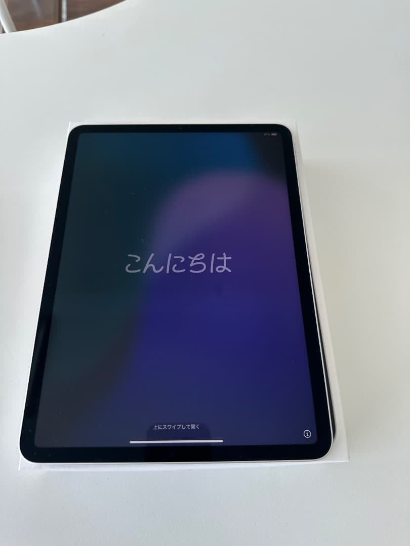 【完動品】iPad Pro11 2世代　iOS18.5　128GB