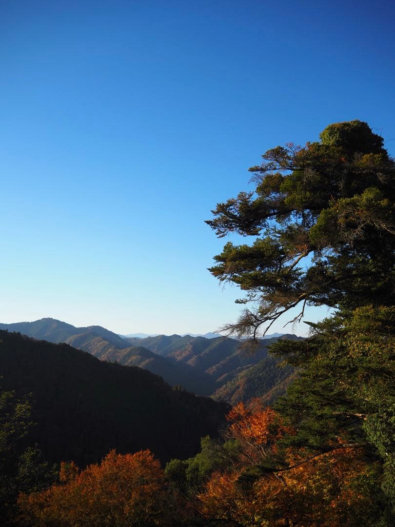 OLYMPUS OM-D E-M10 Mark Ⅳ パンケーキレンズ2つ