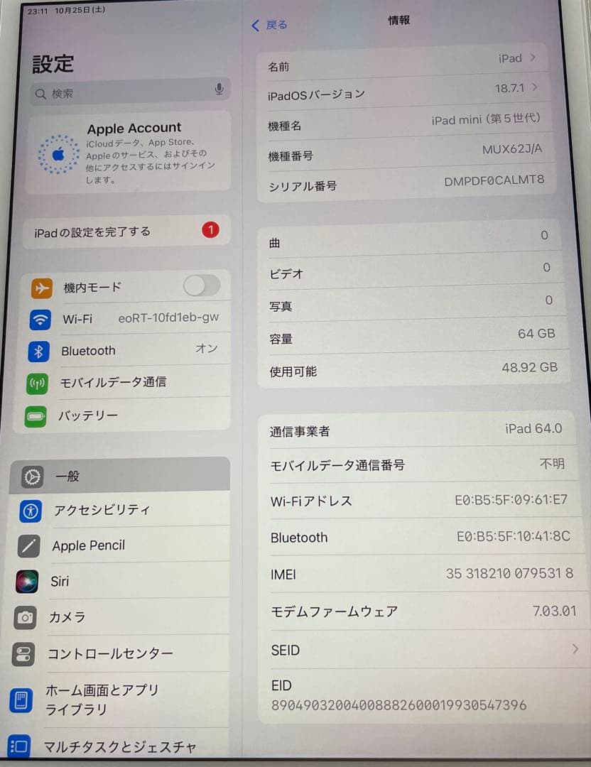 iPad mini 5th Wi-Fi +Cellular 64GB 容量94%