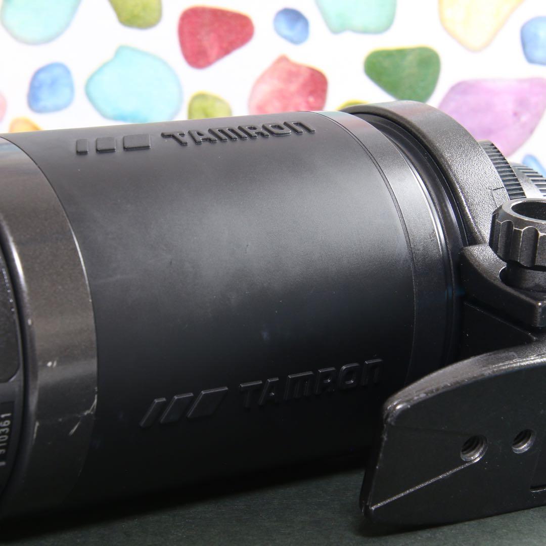 ♥︎◇高性能望遠レンズ♪ ◇TAMRON 200-400ｍｍ NIKON