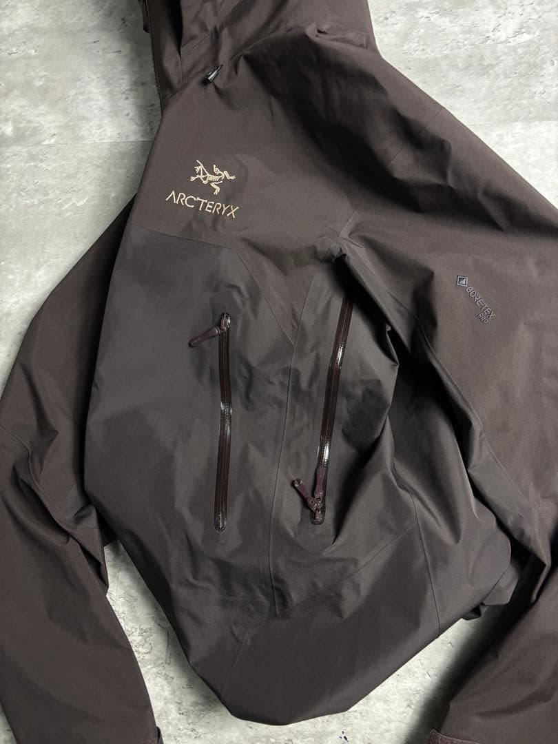 お*☆様 希少限定 田中シェン着ARC'TERYX Beta AR S bitt