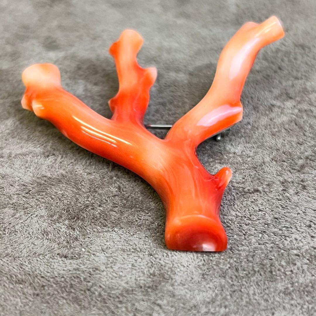 本珊瑚 珊瑚 枝珊瑚 さんご ブローチ 高知 総重量 12.7g