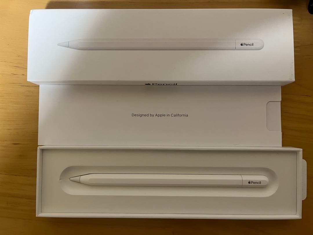 Apple Pencil (USB-C) 元箱付き