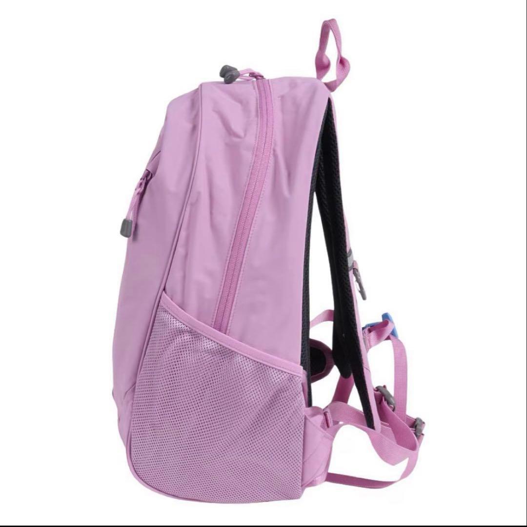 THE NORTH FACE ROUNDY リュック 22L 新品未使用