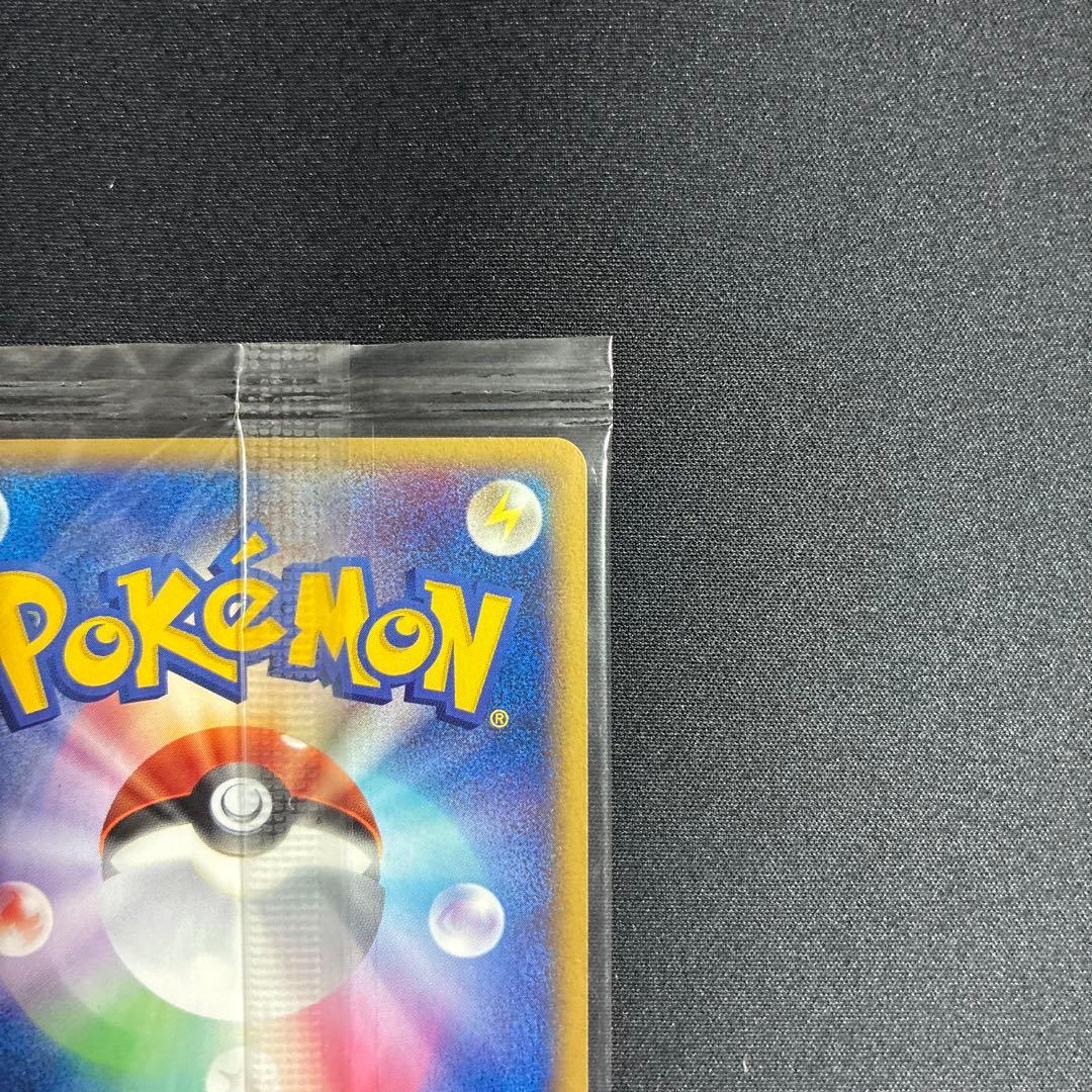 ポケパーク グラードン プロモ 042/PCG-P ポケモンカード