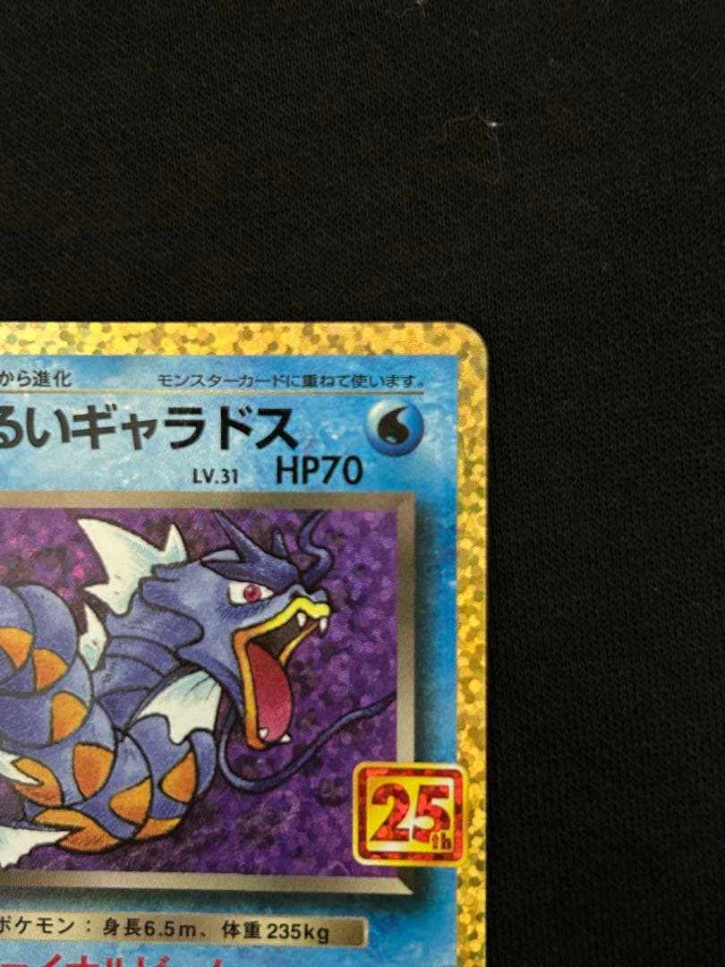 【極美品】ひかるコイキング プロモカードパック 25th ANNIVERSARY