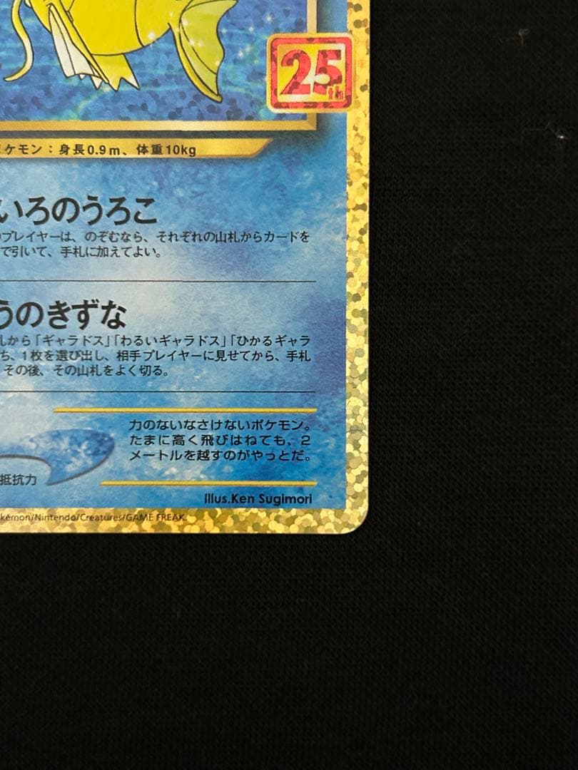 【極美品】ひかるコイキング プロモカードパック 25th ANNIVERSARY