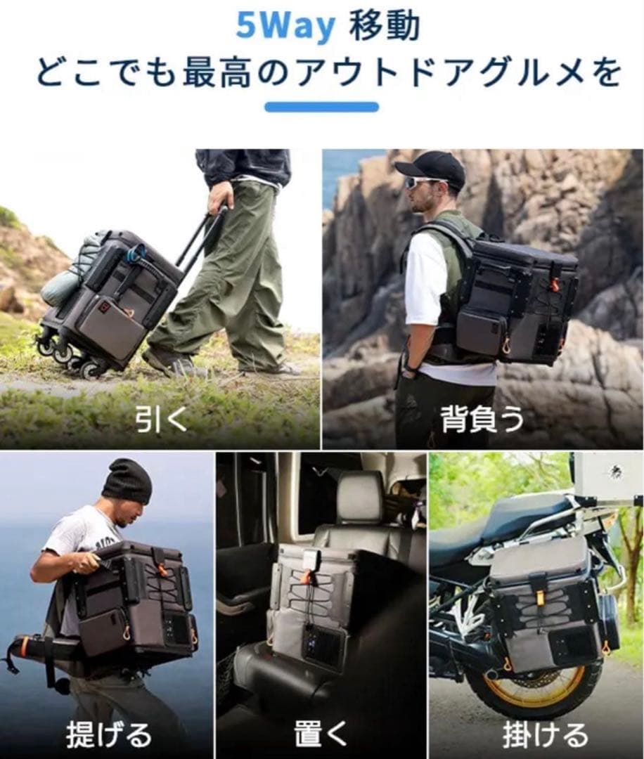 (値下げ) ポータブル冷蔵庫FrozenPack Wild Litheli