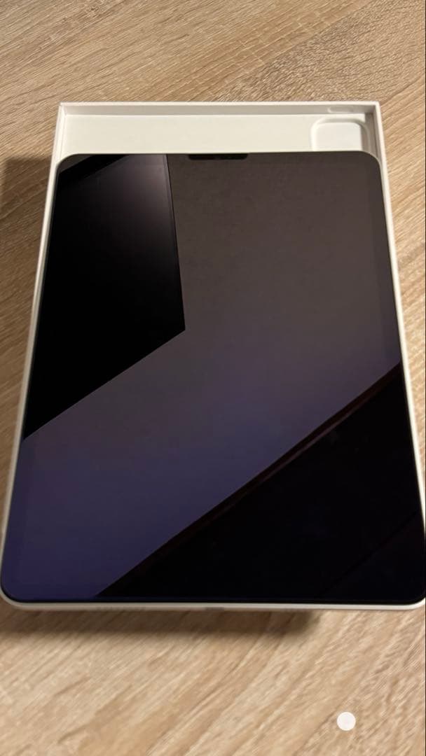 iPadPro11インチ (第4世代)