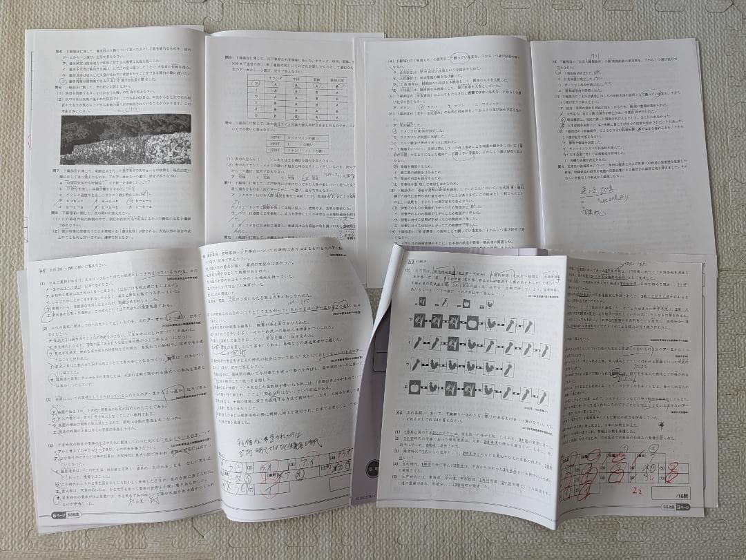 【SAPIX】サピックス 6年 社会テキスト 小6 データバンク・知識の総完成等