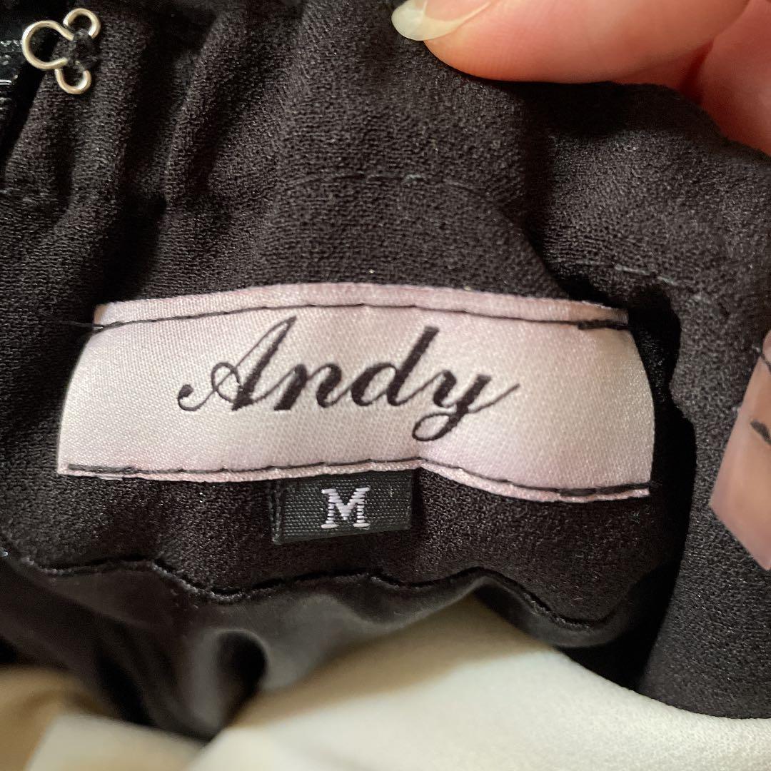 ‪【即日発送】美品 Andyドレス‪‪