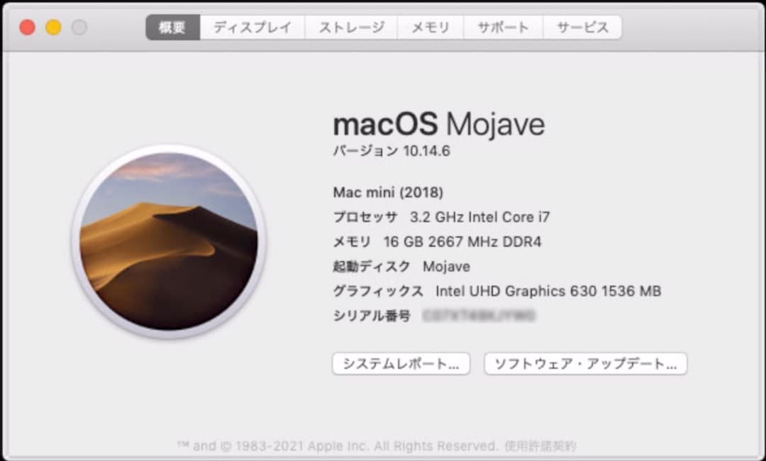 Macデスクトップ Mac mini 2018 i7 16GB 500GB 10Gb-ether