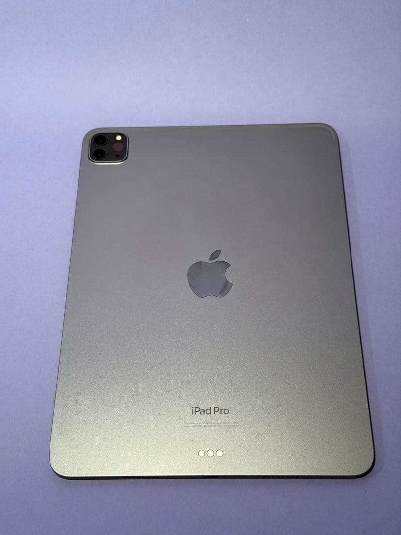 Apple iPad Pro (第4世代) 256GB wi-fiモデル