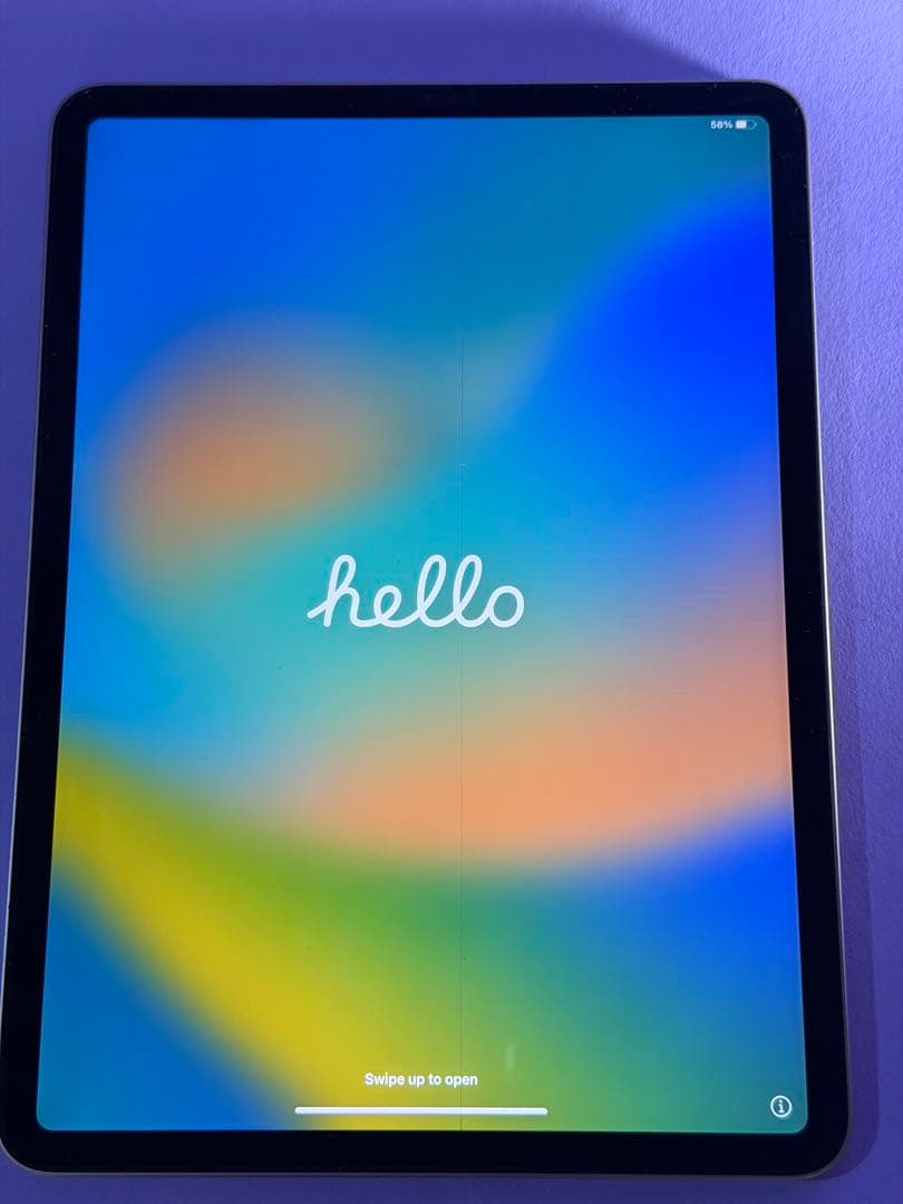 Apple iPad Pro (第4世代) 256GB wi-fiモデル