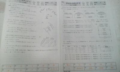 めぐみこ＊デイリー サピックス＊６年＊理科／全３８回 完全版＊２０２３年