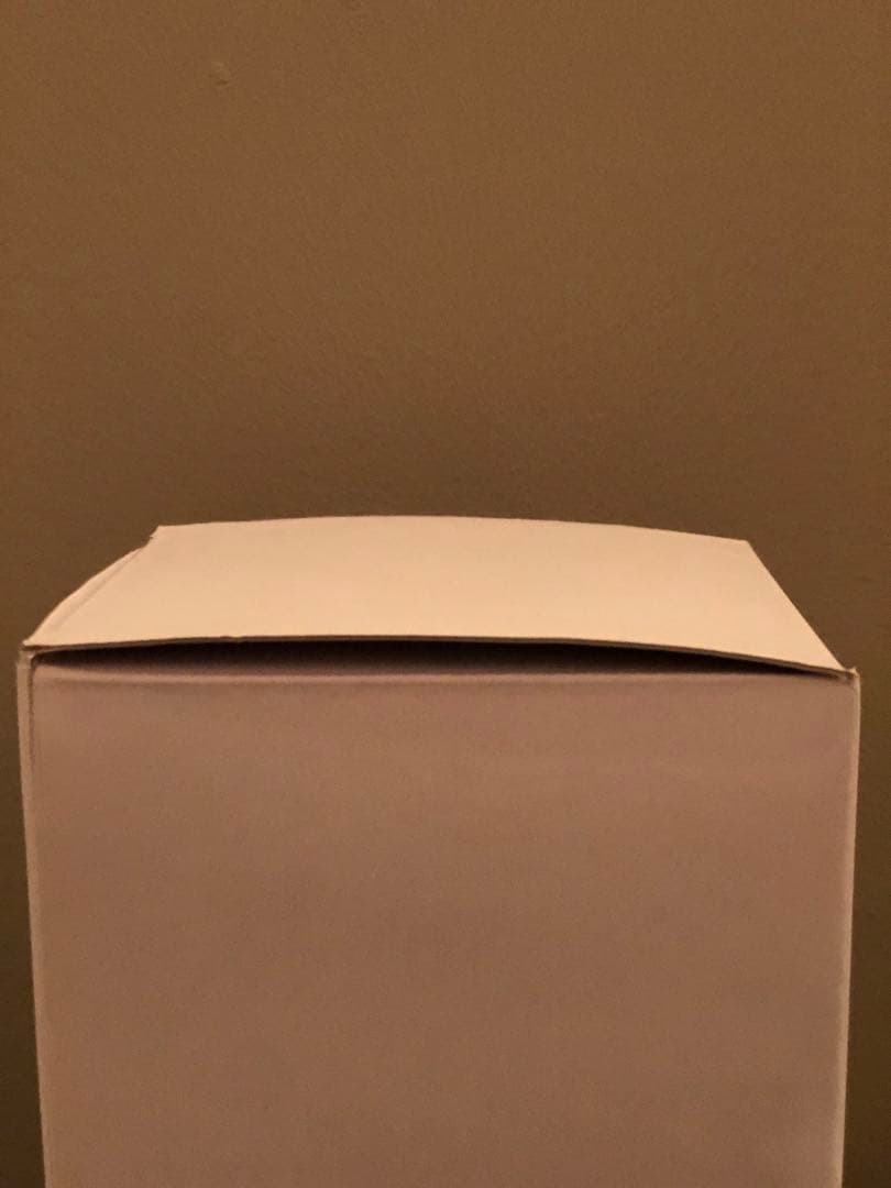 【美品】北欧、暮らしの道具店　スノードーム　2019