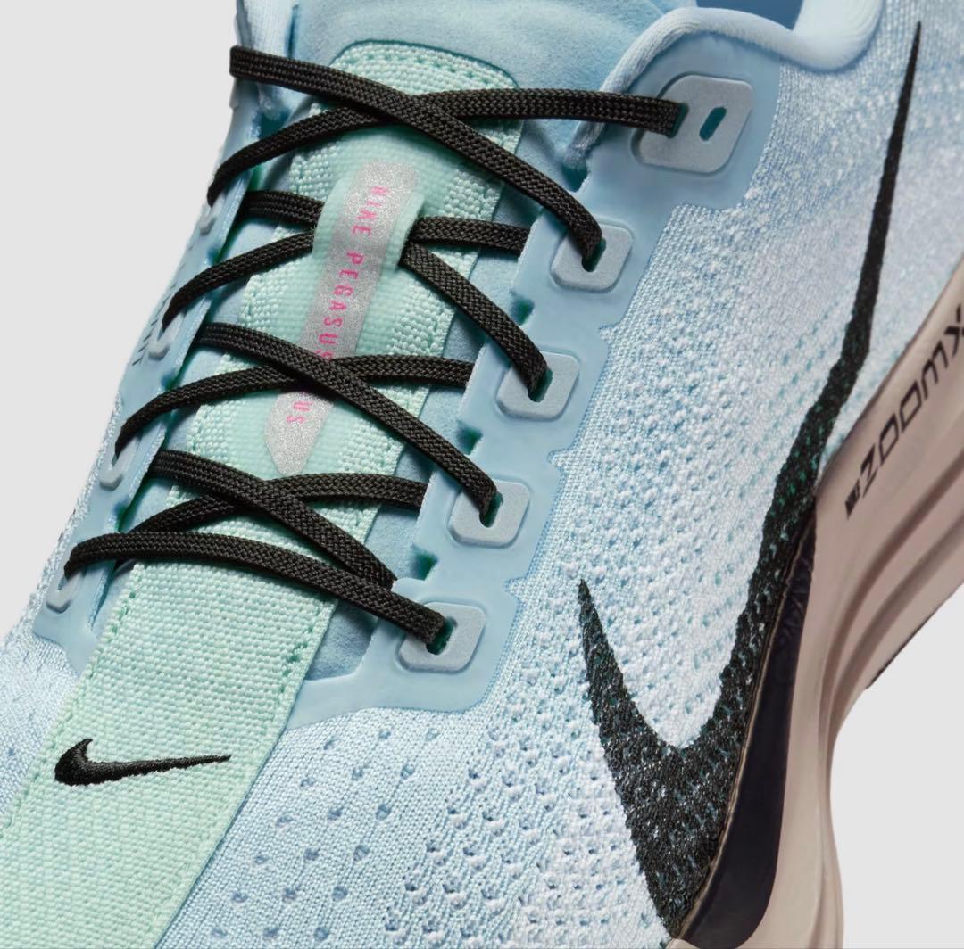 ナイキ ペガサス プラス　29.0