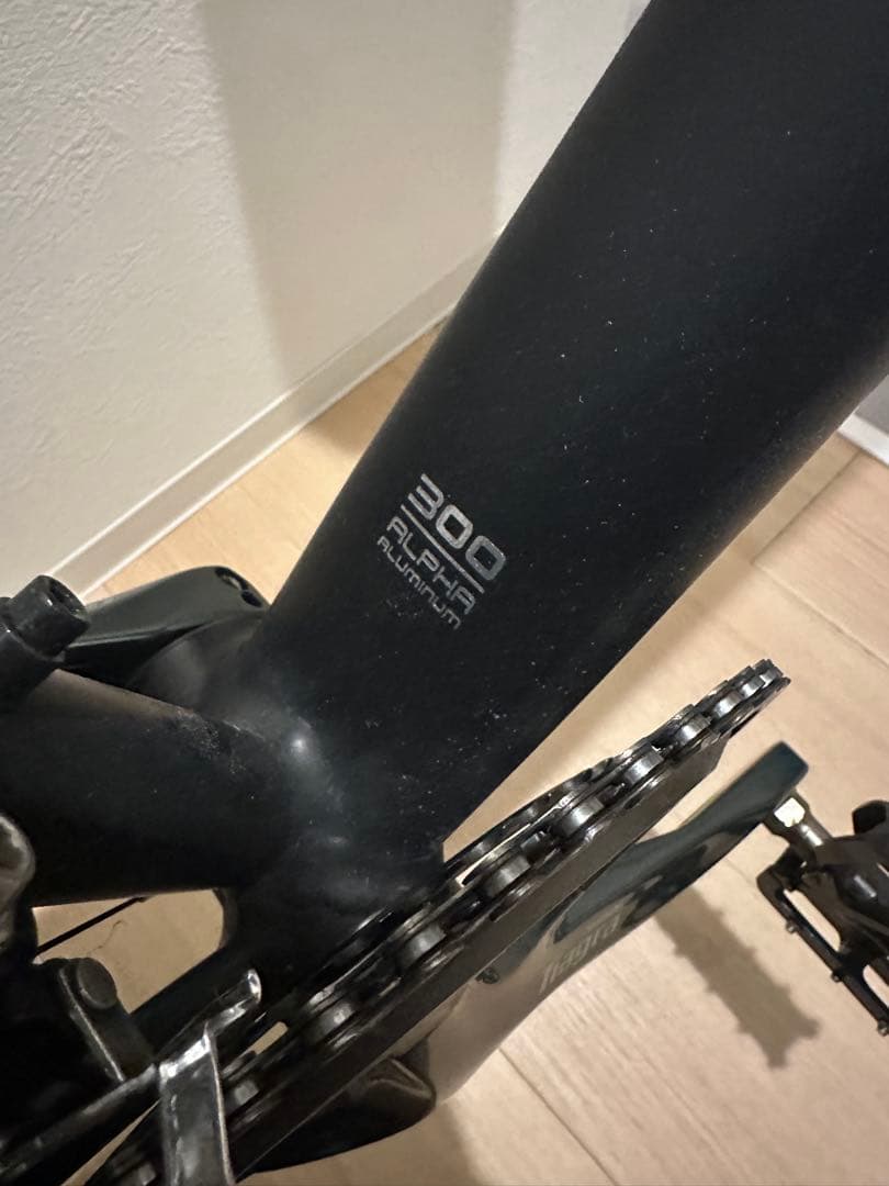 【hamham】EMONDA ALR4【DT Swiss P1800】