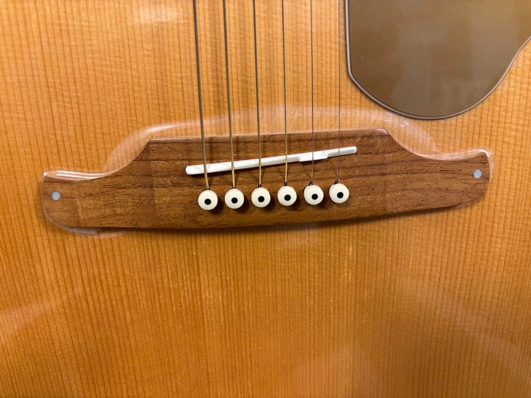 Fender SONORAN エレアコ ジャンク品